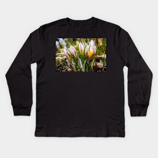 Spring Crocus 5 Kids Long Sleeve T-Shirt